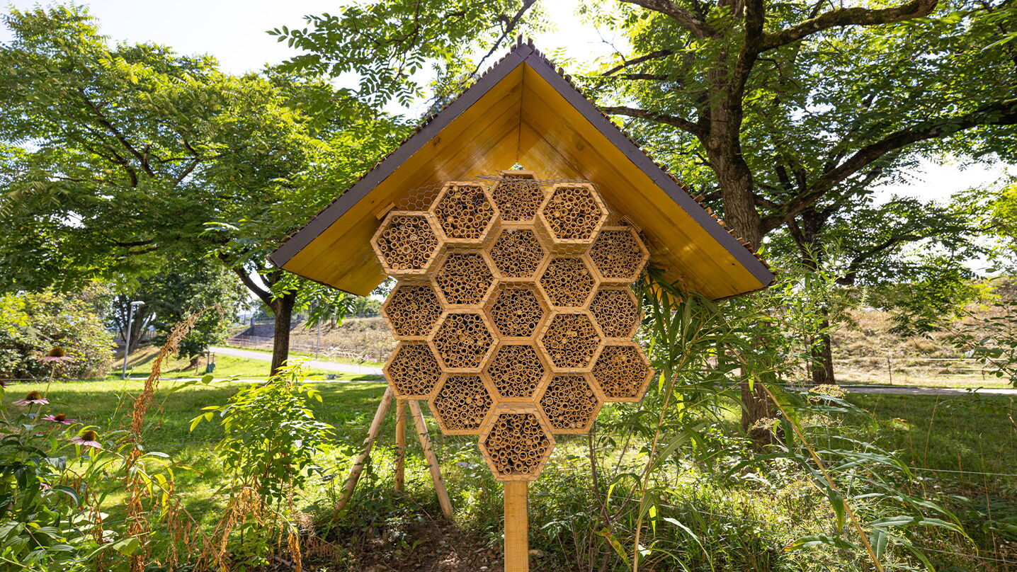 Ormalingerweg 9-13, 4058 Basel